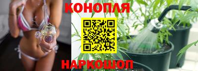 прущая мука Кингисепп