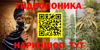 прущая мука Кингисепп