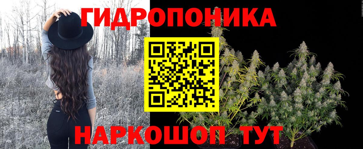 Конопля OG Kush  Каннабис индика  Волжск  Вход с VPN  Шишки марихуана индика 